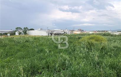 CB KİNG'DEN GÖNEN/KURTULUŞ MAHALLESİ 5222m² SATILIK TİCARİ ARSA