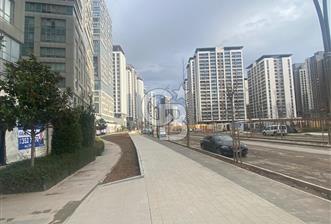 FİKİRTEPE'NİN TAM MERKEZİNDE KİRALIK DÜKKAN - MAĞAZA - 2 - 350338