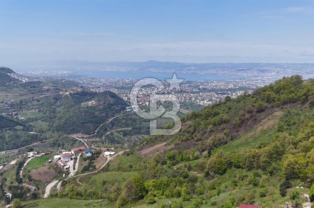 KOCAELİ BAŞİSKELE BARAJ VE DENİZ MANZARALI SATILIK TARLA