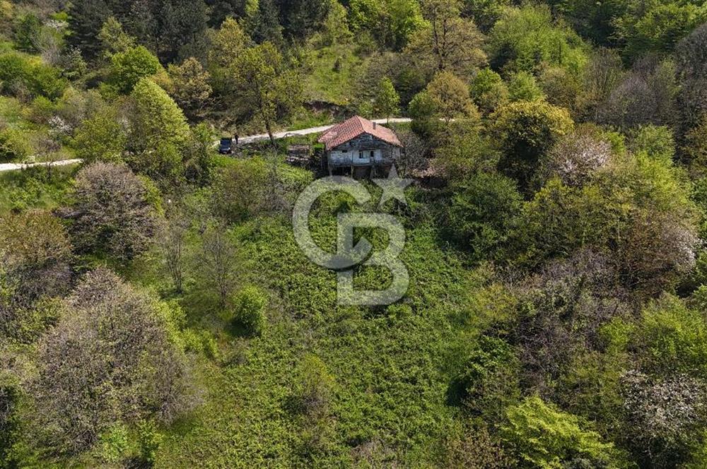 KOCAELİ BAŞİSKELE BARAJ VE DENİZ MANZARALI SATILIK TARLA