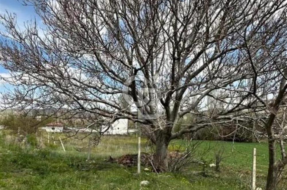 Kırşehir Merkez Örcün'de Yatırımlık Satılık Tarla