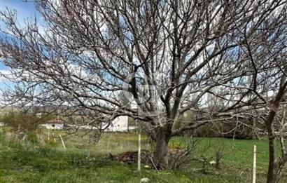 Kırşehir Merkez Örcün'de Yatırımlık Satılık Tarla