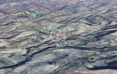 MANISA ALAŞEHİR SOĞANLI YATIRIMLIK VERİMLİ ZEYTİNLİK