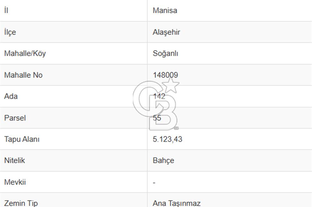 MANISA ALAŞEHİR SOĞANLI YATIRIMLIK VERİMLİ ZEYTİNLİK