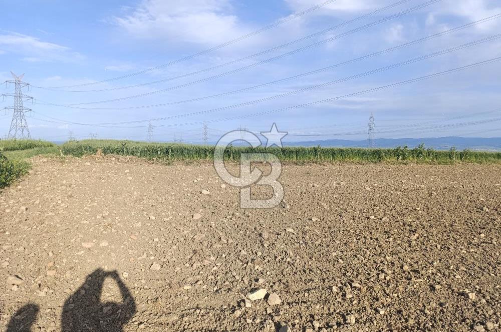 GELİBOLU / BOLAYIR KÖYÜNDE SAROZ VE BOĞAZ MANZARALI TARLA