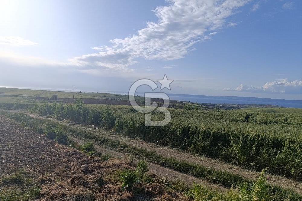 GELİBOLU / BOLAYIR KÖYÜNDE SAROZ VE BOĞAZ MANZARALI TARLA