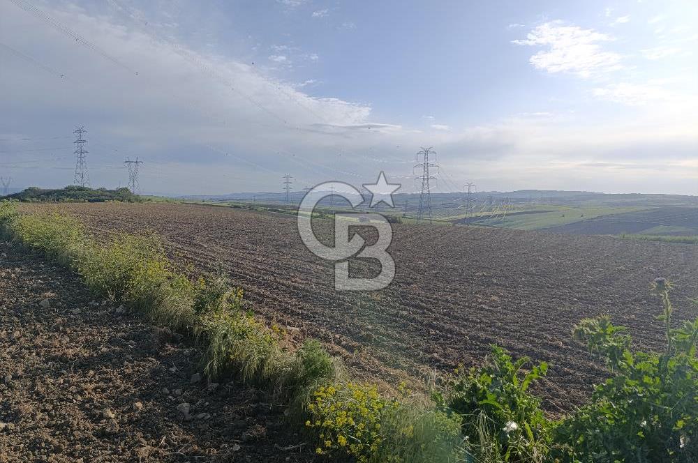 GELİBOLU / BOLAYIR KÖYÜNDE SAROZ VE BOĞAZ MANZARALI TARLA