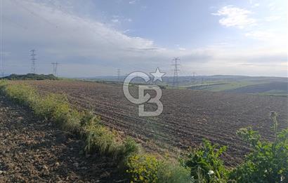 GELİBOLU / BOLAYIR KÖYÜNDE SAROZ VE BOĞAZ MANZARALI TARLA