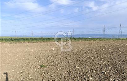 GELİBOLU / BOLAYIR KÖYÜNDE SAROZ VE BOĞAZ MANZARALI TARLA