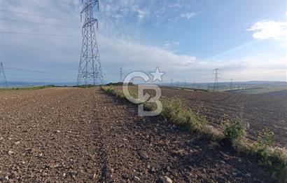 GELİBOLU / BOLAYIR KÖYÜNDE SAROZ VE BOĞAZ MANZARALI TARLA