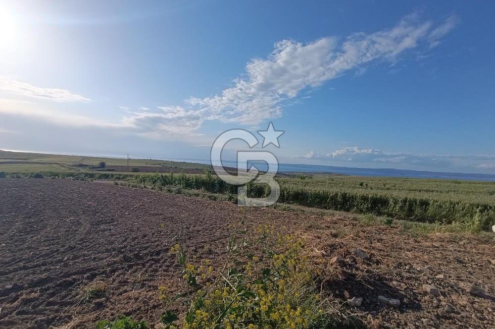 GELİBOLU / BOLAYIR KÖYÜNDE SAROZ VE BOĞAZ MANZARALI TARLA