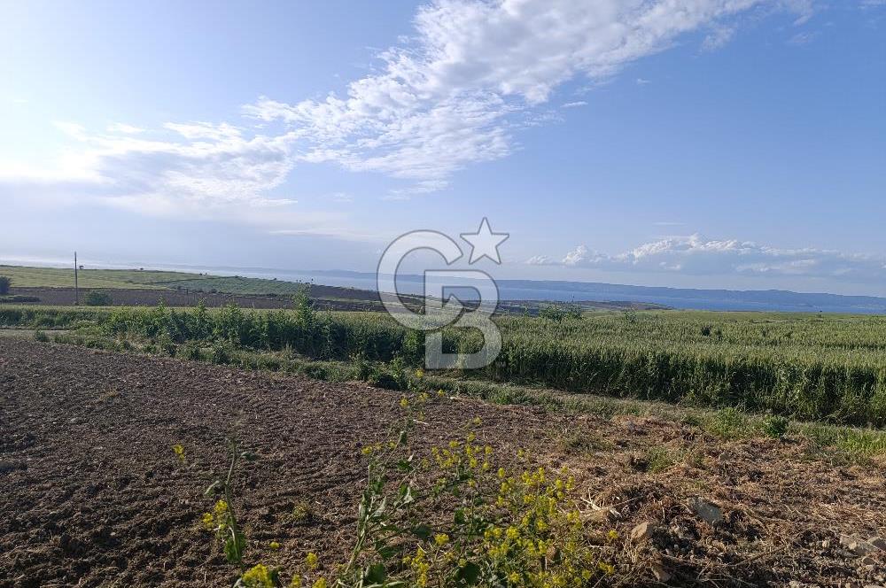 GELİBOLU / BOLAYIR KÖYÜNDE SAROZ VE BOĞAZ MANZARALI TARLA