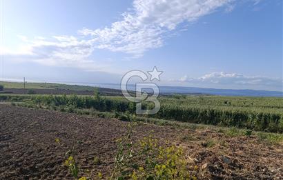GELİBOLU / BOLAYIR KÖYÜNDE SAROZ VE BOĞAZ MANZARALI TARLA