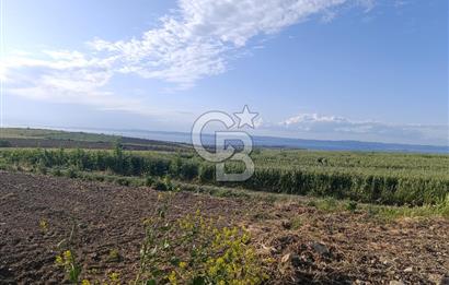 GELİBOLU / BOLAYIR KÖYÜNDE SAROZ VE BOĞAZ MANZARALI TARLA