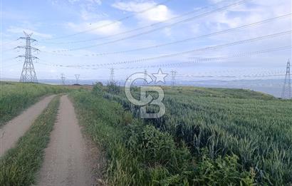 GELİBOLU / BOLAYIR KÖYÜNDE SAROZ VE BOĞAZ MANZARALI TARLA