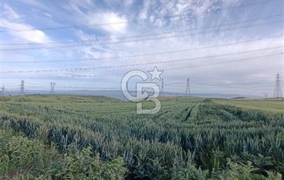 GELİBOLU / BOLAYIR KÖYÜNDE SAROZ VE BOĞAZ MANZARALI TARLA