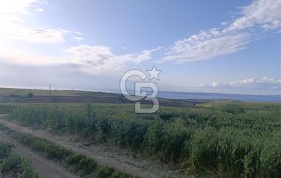 GELİBOLU / BOLAYIR KÖYÜNDE SAROZ VE BOĞAZ MANZARALI TARLA