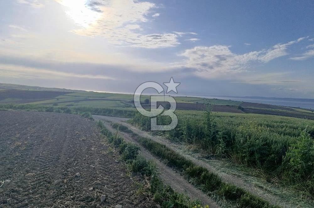 GELİBOLU / BOLAYIR KÖYÜNDE SAROZ VE BOĞAZ MANZARALI TARLA