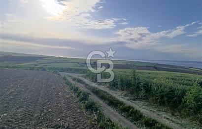 GELİBOLU / BOLAYIR KÖYÜNDE SAROZ VE BOĞAZ MANZARALI TARLA