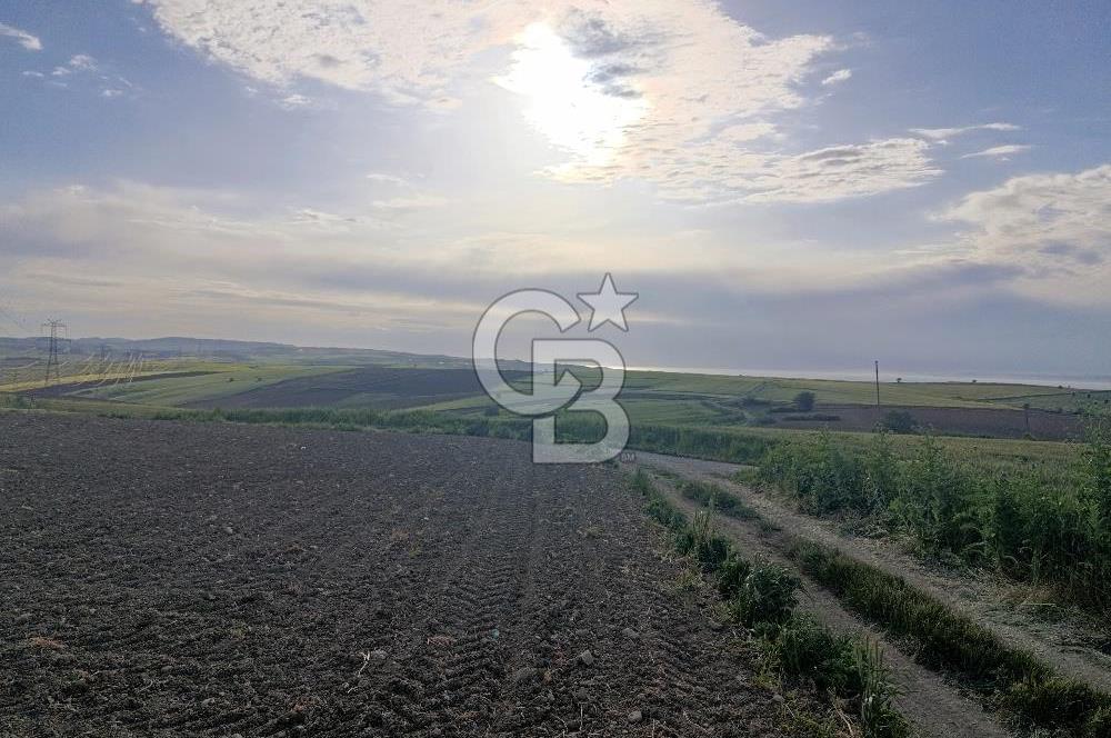 GELİBOLU / BOLAYIR KÖYÜNDE SAROZ VE BOĞAZ MANZARALI TARLA