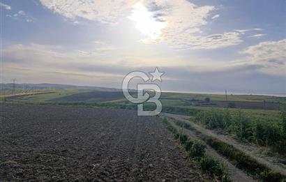 GELİBOLU / BOLAYIR KÖYÜNDE SAROZ VE BOĞAZ MANZARALI TARLA