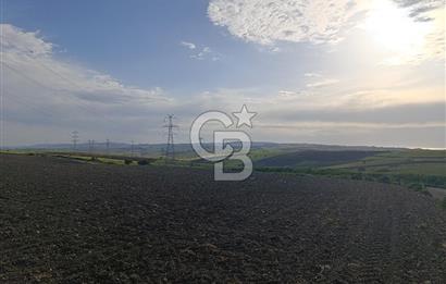 GELİBOLU / BOLAYIR KÖYÜNDE SAROZ VE BOĞAZ MANZARALI TARLA