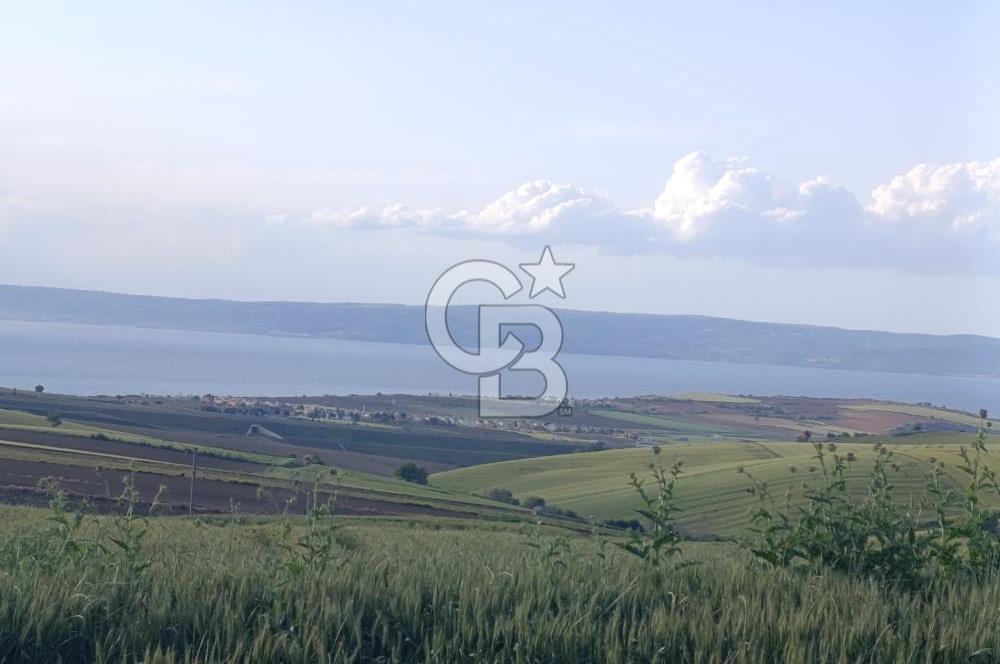 GELİBOLU / BOLAYIR KÖYÜNDE SAROZ VE BOĞAZ MANZARALI TARLA