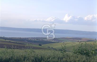 GELİBOLU / BOLAYIR KÖYÜNDE SAROZ VE BOĞAZ MANZARALI TARLA