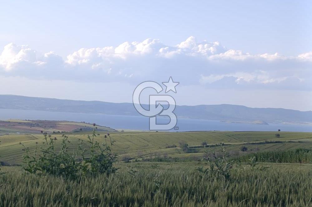 GELİBOLU / BOLAYIR KÖYÜNDE SAROZ VE BOĞAZ MANZARALI TARLA