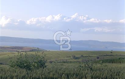 GELİBOLU / BOLAYIR KÖYÜNDE SAROZ VE BOĞAZ MANZARALI TARLA