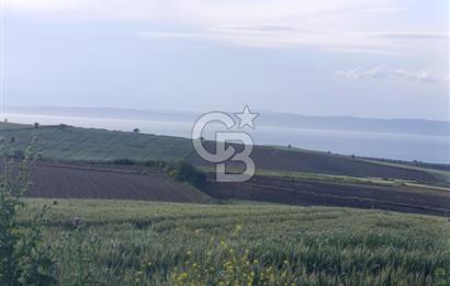 GELİBOLU / BOLAYIR KÖYÜNDE SAROZ VE BOĞAZ MANZARALI TARLA
