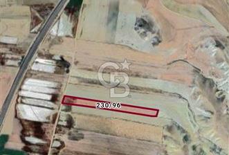 ANKARA POLATLIDA SATILIK TARLA - 1 - 350399