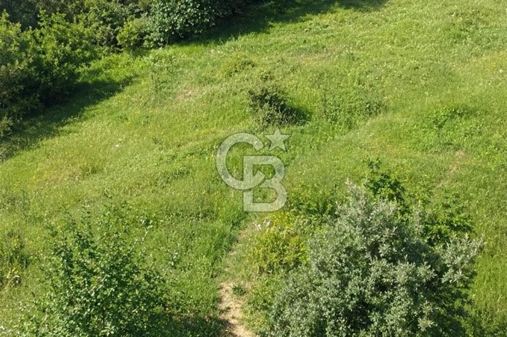 Soma Karacahisar 6572 M2 Ana Yola ve Köye Yakın Satılık Tarla