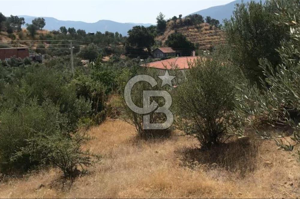 SEFERİHİSAR ORHANLI'DA SATILIK TARLA