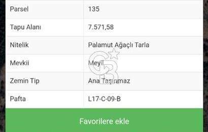 SEFERİHİSAR ORHANLI'DA SATILIK TARLA