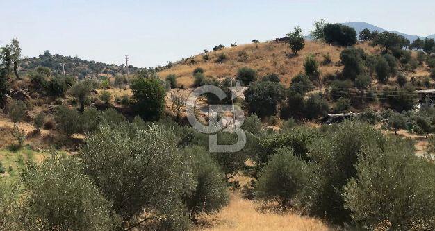 SEFERİHİSAR ORHANLI'DA SATILIK TARLA