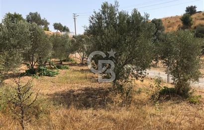SEFERİHİSAR ORHANLI'DA SATILIK TARLA