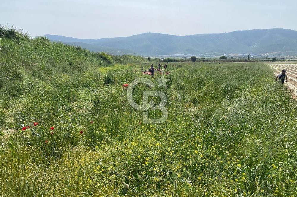 Ahmetlide Geleceği Parlayan Bölgede Yatırımlık 11.000 m2 Arazi