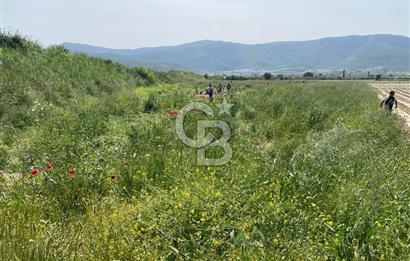 Ahmetlide Geleceği Parlayan Bölgede Yatırımlık 11.000 m2 Arazi