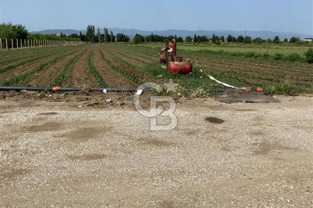 Torbalı Osb Yakını Bugünün Tarlası Yarının Değerli Yatırımı