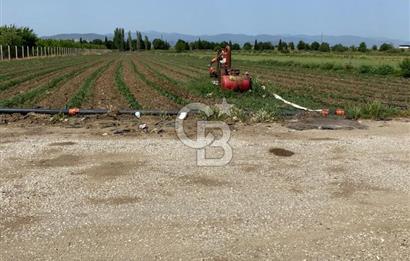 Torbalı Osb Yakını Bugünün Tarlası Yarının Değerli Yatırımı