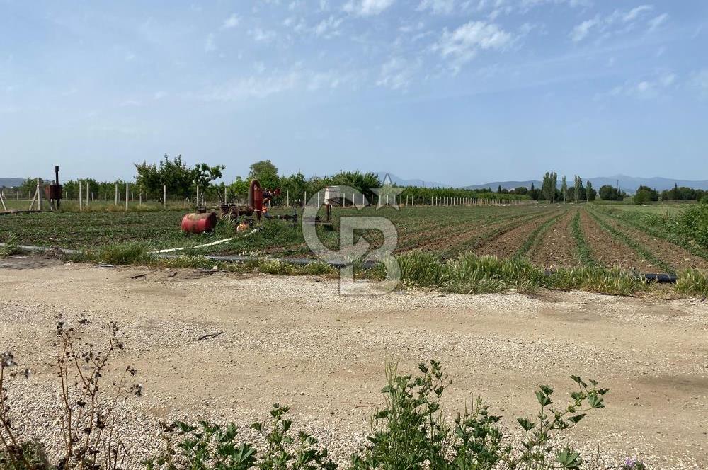Torbalı Osb Yakını Bugünün Tarlası Yarının Değerli Yatırımı