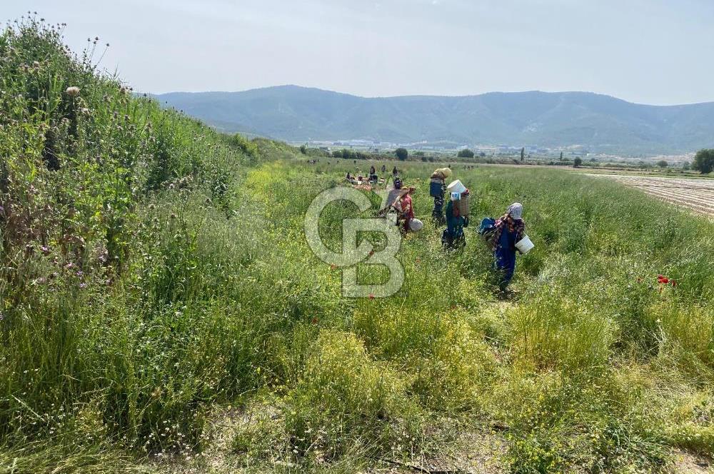 Ahmetlide Geleceği Parlayan Bölgede Yatırımlık 11.000 m2 Arazi