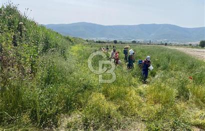 Ahmetlide Geleceği Parlayan Bölgede Yatırımlık 11.000 m2 Arazi