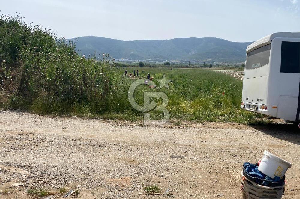 Ahmetlide Geleceği Parlayan Bölgede Yatırımlık 11.000 m2 Arazi
