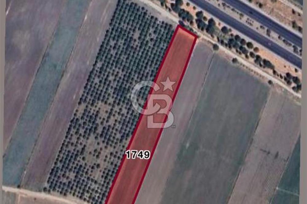 Torbalı Osb Yakını Bugünün Tarlası Yarının Değerli Yatırımı