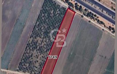 Torbalı Osb Yakını Bugünün Tarlası Yarının Değerli Yatırımı