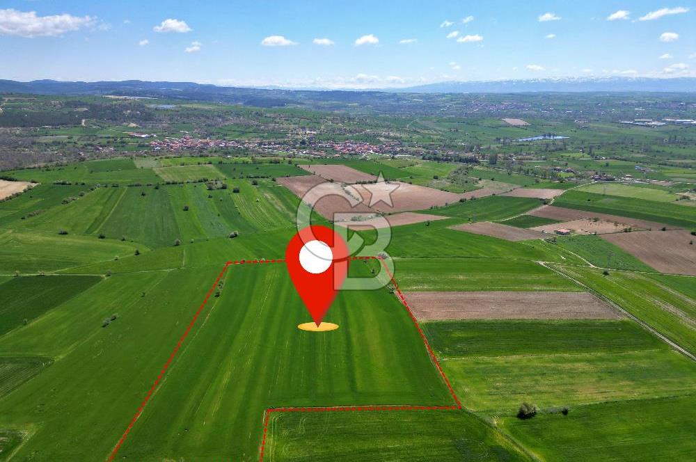 CB OPİA'DAN '' MESUDİYE'DE 31.152 m² TARLA'' Ş. MERKEZİNE YAKIN