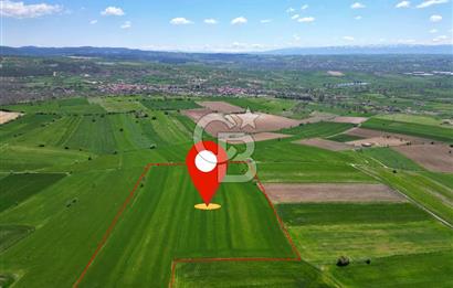 CB OPİA'DAN '' MESUDİYE'DE 31.152 m² TARLA'' Ş. MERKEZİNE YAKIN