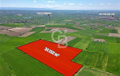 CB OPİA'DAN '' MESUDİYE'DE 31.152 m² TARLA'' Ş. MERKEZİNE YAKIN